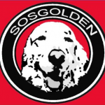sosgolden.png